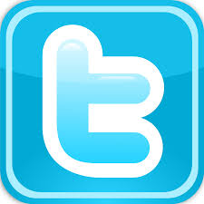 The twitter logo